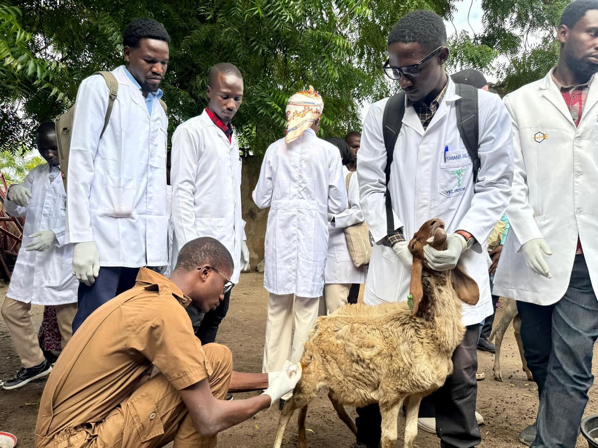 AfriVet main group