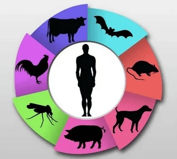 Zoonotic Disease Prevention (OHA)