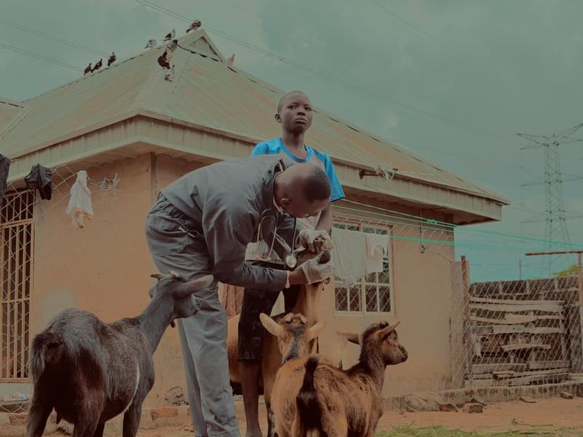 Vet konect outreach