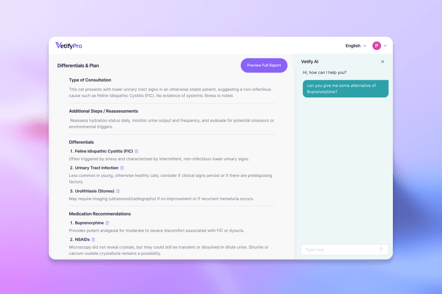 VetifyPro AI chat demo
