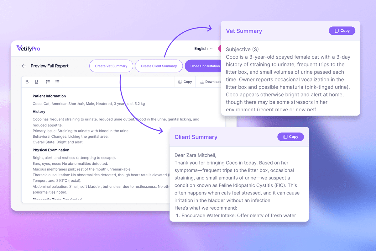 VetifyPro summaries demo